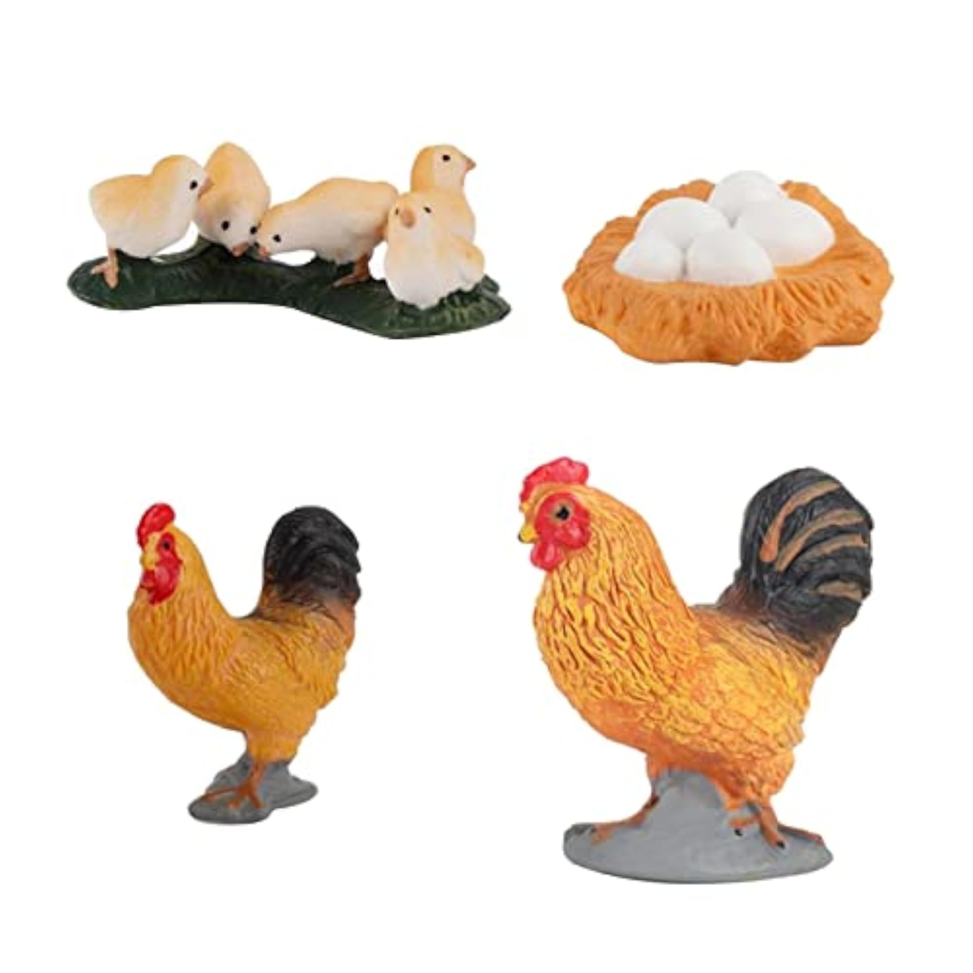 ABS Chicken Life Cycle Educational Learning Toy